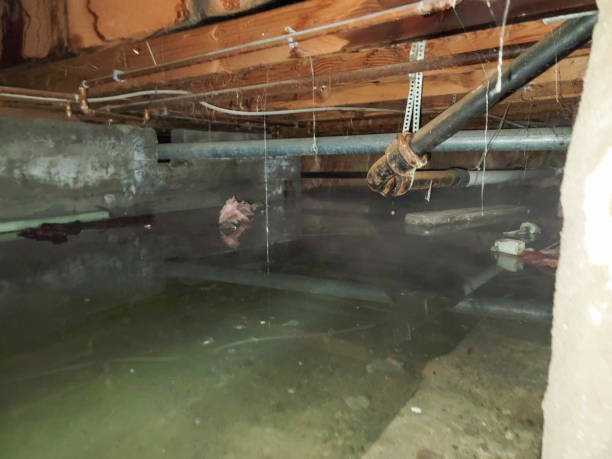 Best Water damage restoration near me  in Berly, MO