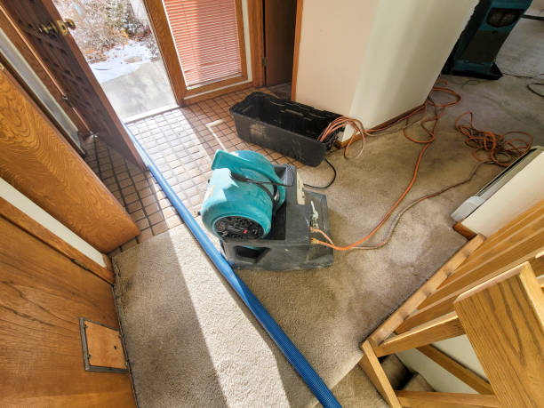 Best Water damage repair service  in Berly, MO