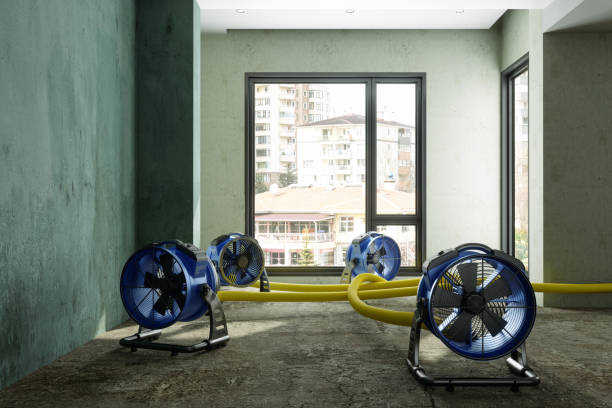 Best Water damage restoration near me  in Berly, MO