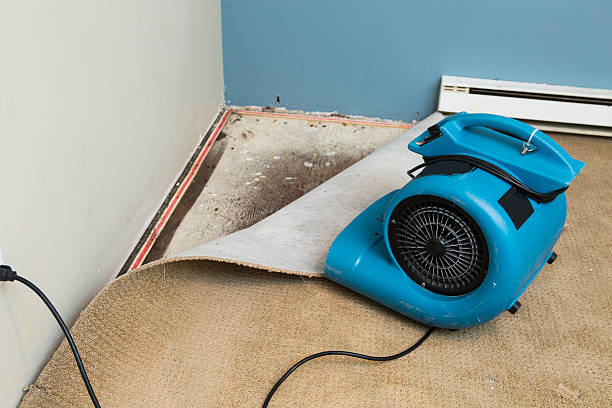 Best Ceiling water damage repair  in Berly, MO